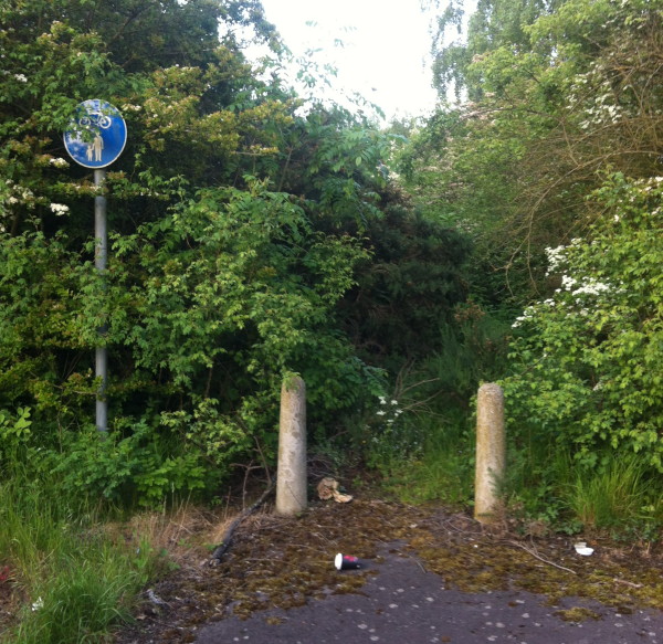 cycle path disapears into a jungle